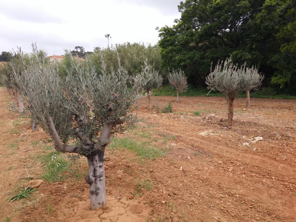 Appartamento Gigaro La Croix-Valmer Esterno foto