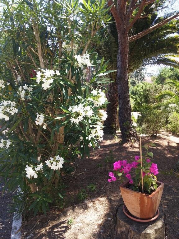 Appartamento Gigaro La Croix-Valmer Esterno foto